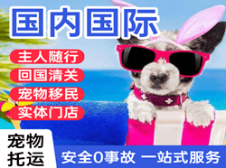 长治机场快递国际宠物托运 【国